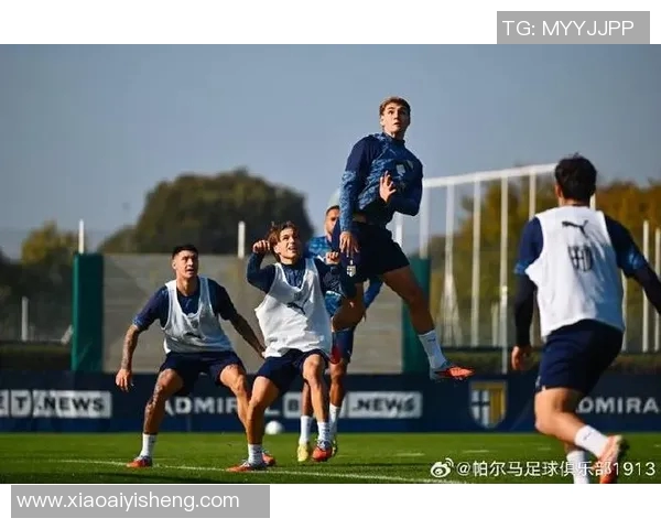 帕尔马与米兰精彩对决视频回顾全场精彩瞬间与战术分析