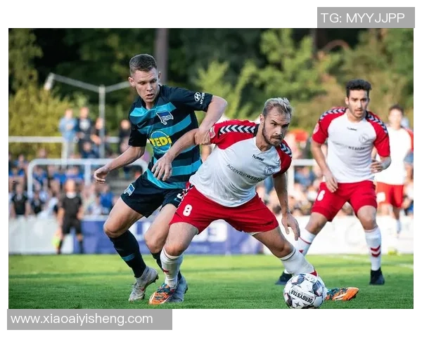 德乙激战汉堡主场迎战德累斯顿全力争胜展现实力