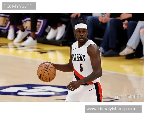 朱霍勒迪的篮球之路与职业生涯成就探讨