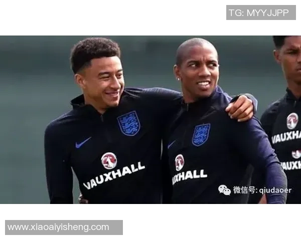 突尼斯与英格兰比赛前瞻及胜负预测分析详解