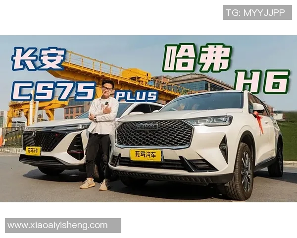 维积利与哥本哈根FC激战在即谁能在这场对决中笑到最后