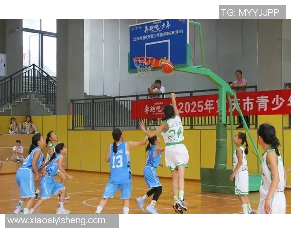 重庆篮球队个人能力分析与发展潜力探讨 重庆篮球队个人能力分析与发展潜力探讨