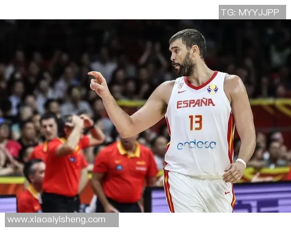 伊朗与立陶宛篮球赛实时比分更新及精彩瞬间回顾