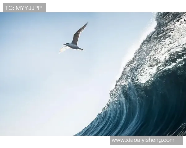 格拉茨风暴与海洋的激烈对决揭示了力量与自然的碰撞之美 格拉茨风暴与海洋的激烈对决揭示了力量与自然的碰撞之美