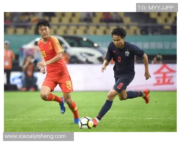 泰国与越南足球对决结果揭晓精彩瞬间回顾与分析
